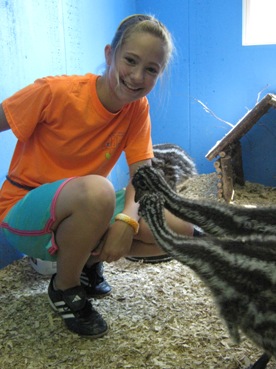 baby emus hatched at science camp