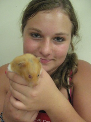 Hamsters at Science Camp - information, care, facts