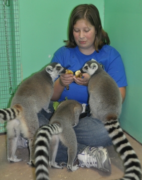 girl feeding lemurs at summer camp