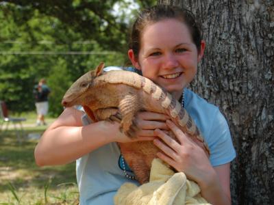 six banded armadillo