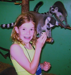 feeding ring tailed lemurs