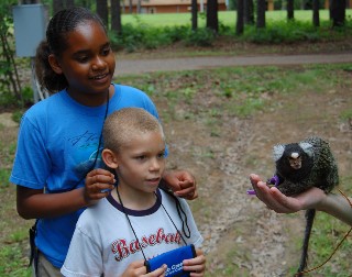 getting close to tiny monkeys at summer camp