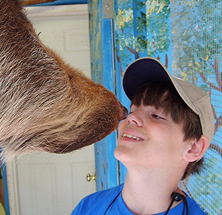 nose to nose with a sloth at animal camp