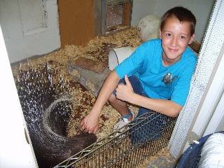 petting a porcupine at animal camp