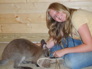 girl playing with wallaby in the barn